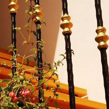 Apartamento Mladenka Visnjik